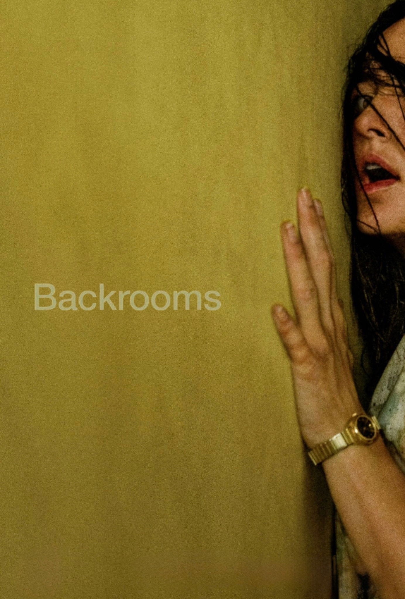 THE BACKROOMS